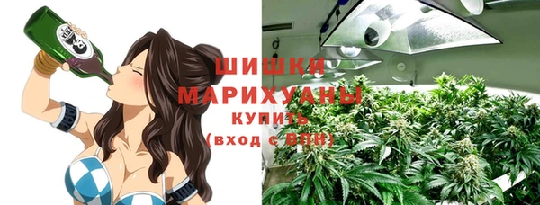 соль ск Алзамай
