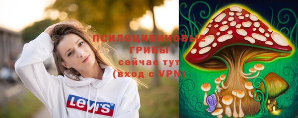 соль ск Алзамай