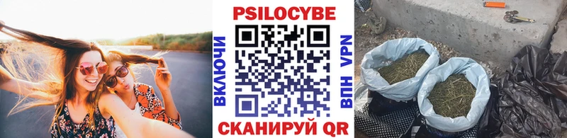 мориарти наркотические препараты Жуковский Галлюциногенные грибы Magic Shrooms
